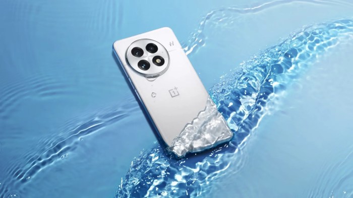 OnePlus 13 Pro