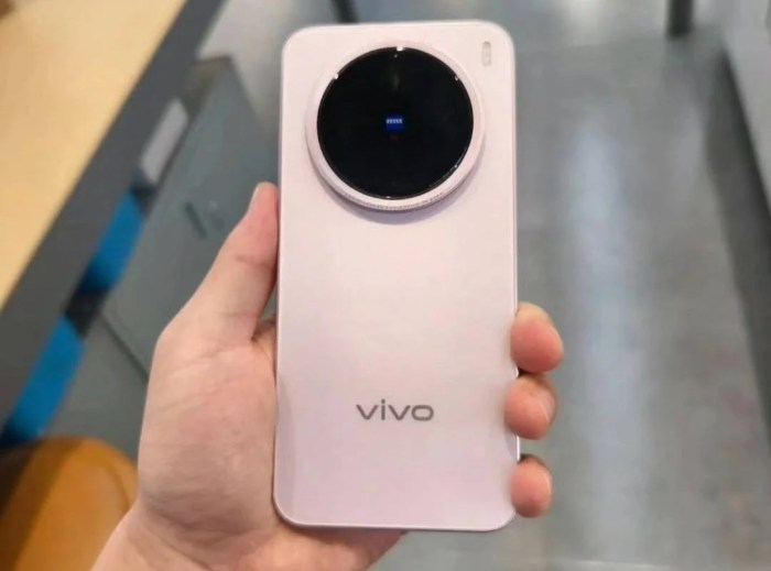 Xiaomi 15 and Vivo X200 Pro Mini: Different Names, Same Compact ... Vivo X200